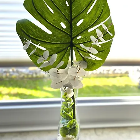 --- Seedomizil --- Moderne Mit Terrasse Lejlighed *