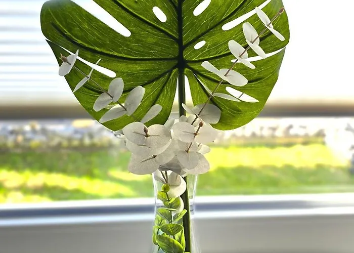 --- Seedomizil --- Moderne Mit Terrasse شقة *